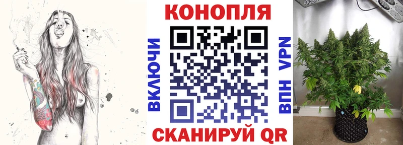 Канабис сатива  где найти наркотики  Могоча 